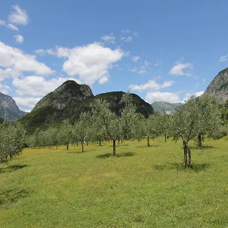 ゲストハウス La Muele *